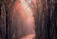 天涯论坛里的台湾朋友们：分享故事和日常